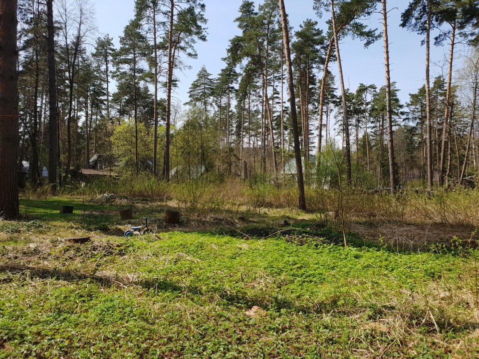 Если Вы хотите продать участок в Кратово, то позвоните Виктору 8 (926) 229-66-22 прямо сейчас!