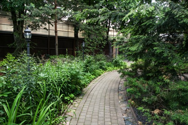 участок_IMG_5496