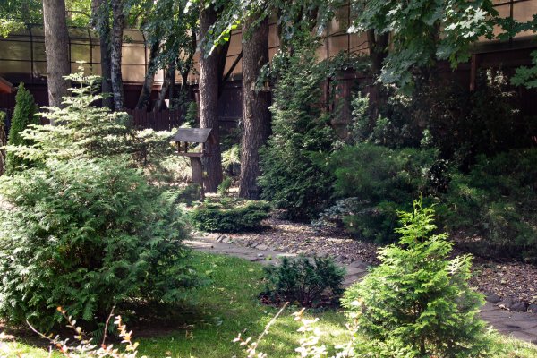 участок_IMG_5784